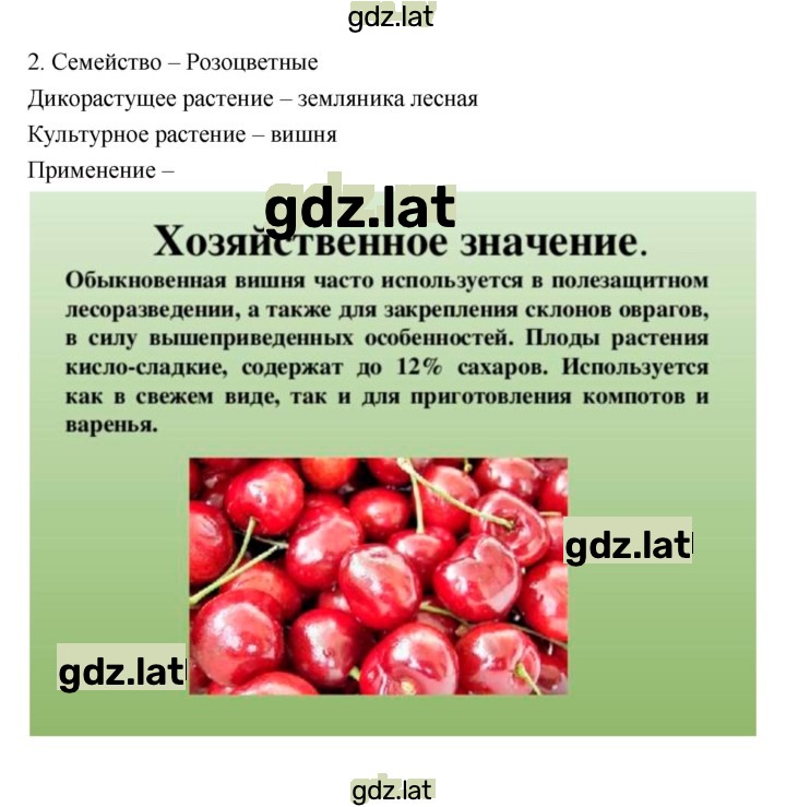 Решение задания № 46 — страница 7