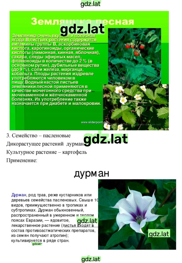 Решение задания № 46 — страница 8
