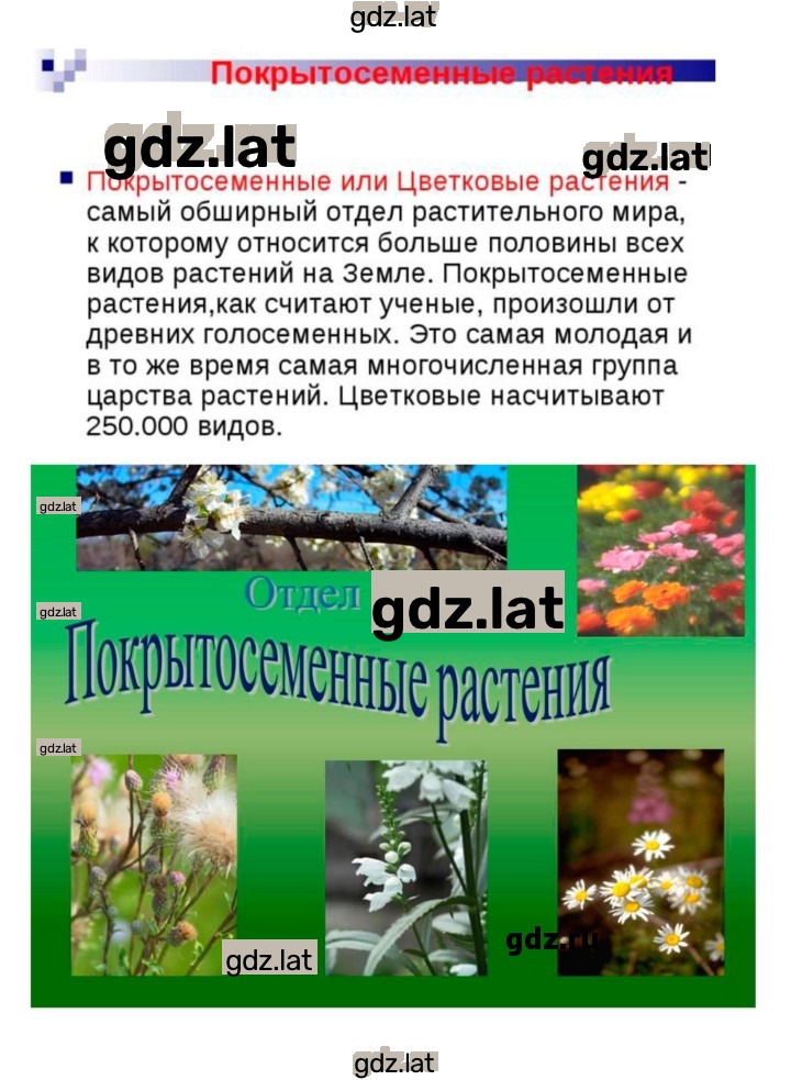 Решение задания № 46 — страница 10