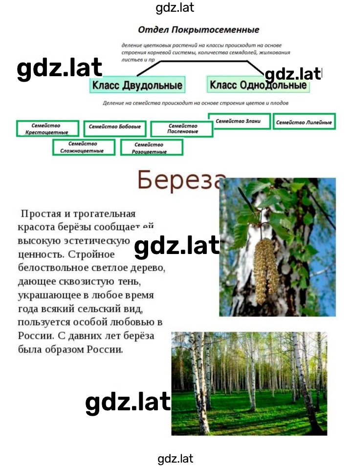 Решение задания № 46 — страница 11