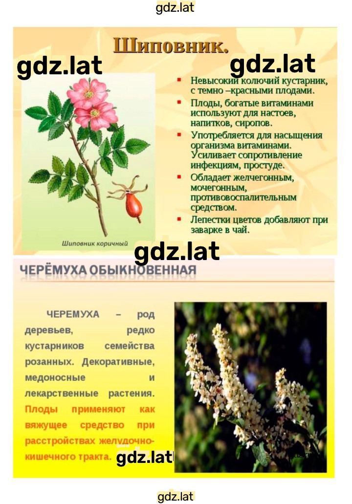 Решение задания № 46 — страница 12