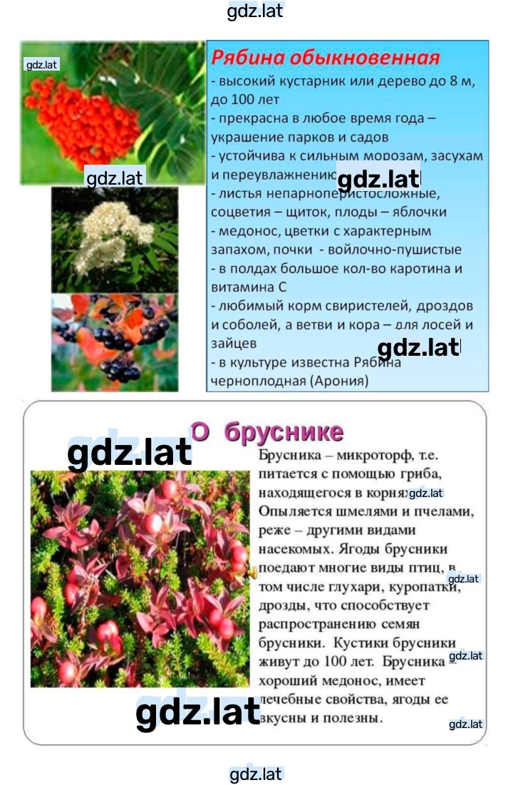 Решение задания № 46 — страница 13