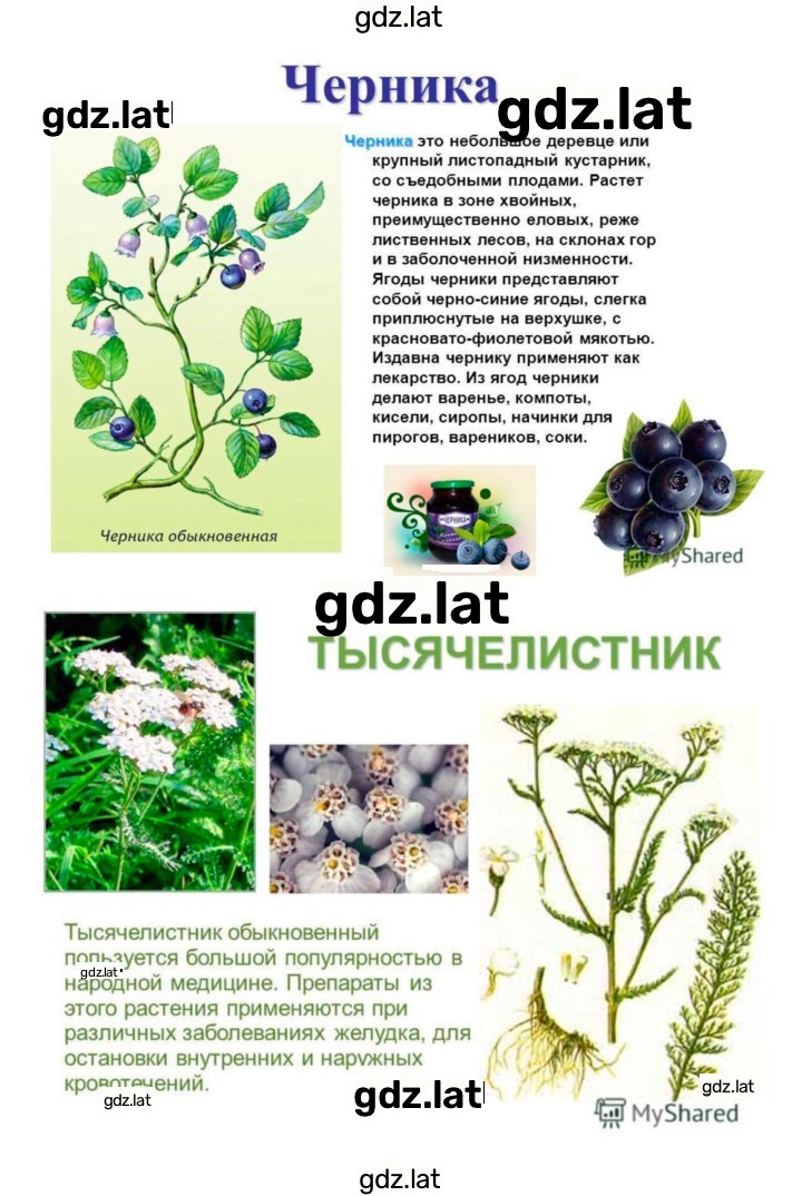 Решение задания № 46 — страница 14
