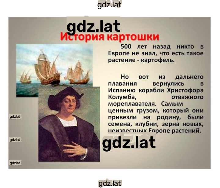 Решение задания № 47 — страница 2