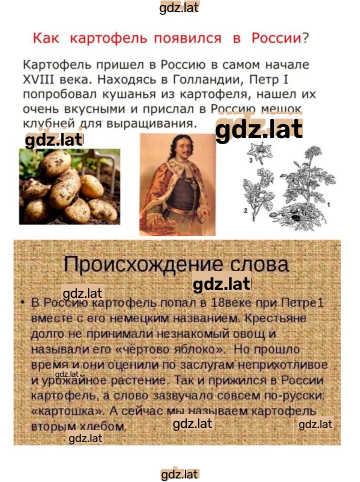 Решение задания № 47 — страница 4