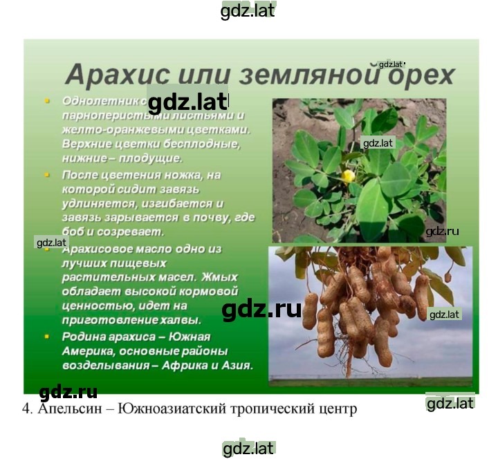 Решение задания № 47 — страница 10