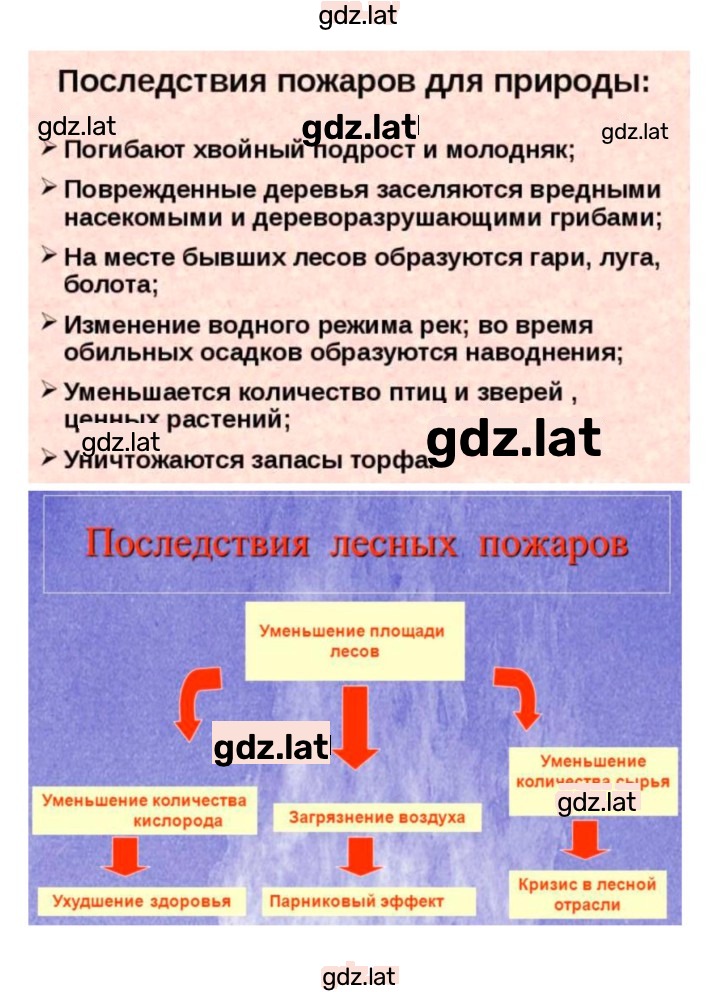 Решение задания № 5 — страница 3