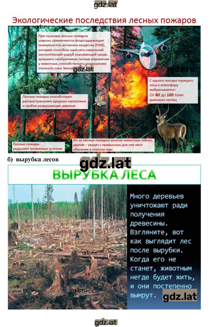 Решение задания № 5 — страница 4