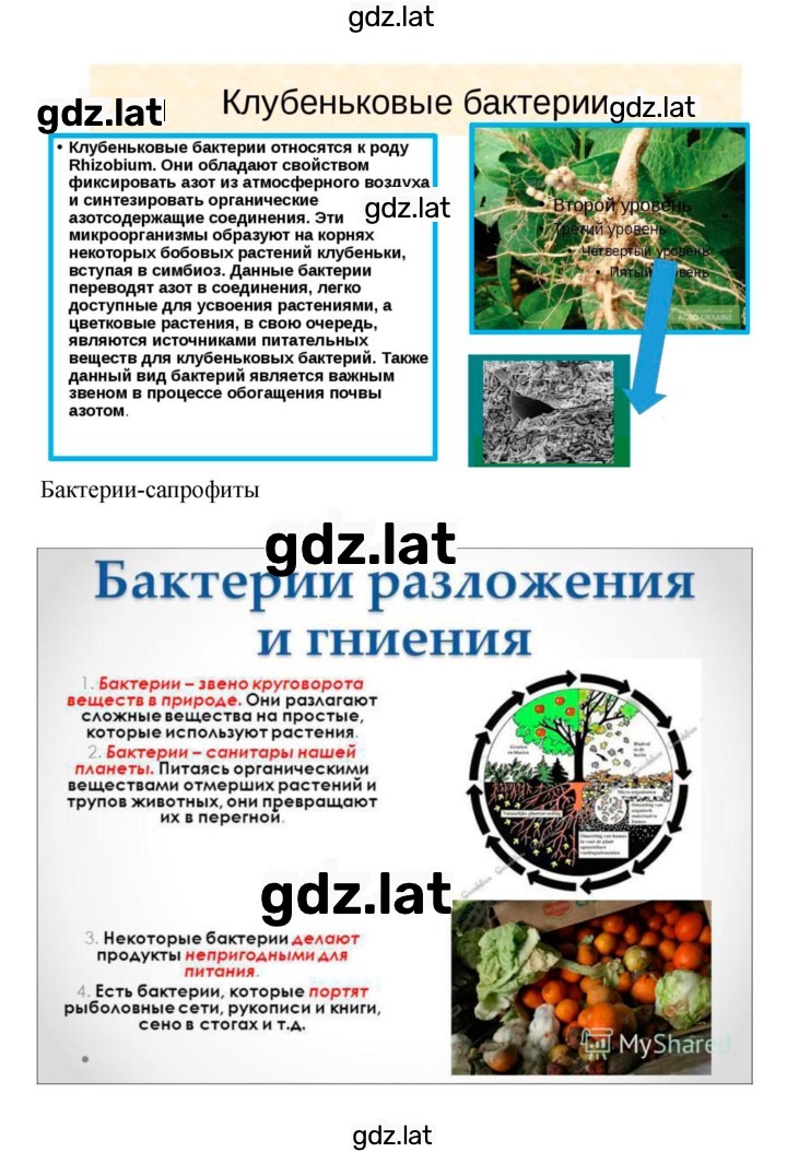 Решение задания № 50 — страница 2