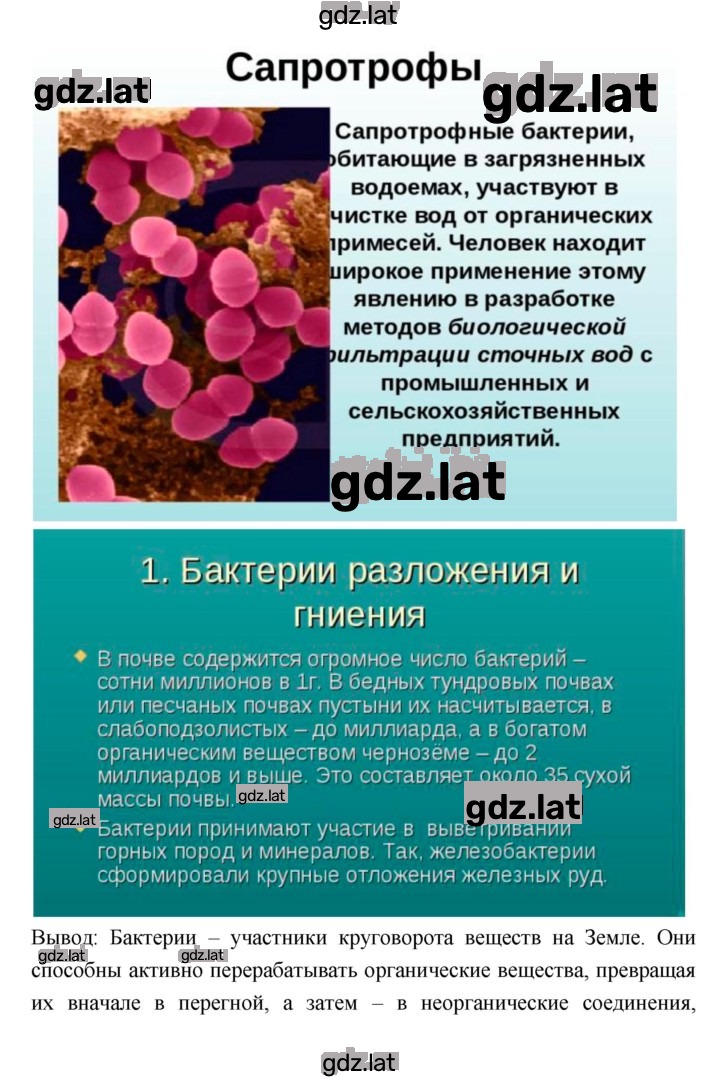 Решение задания № 50 — страница 3
