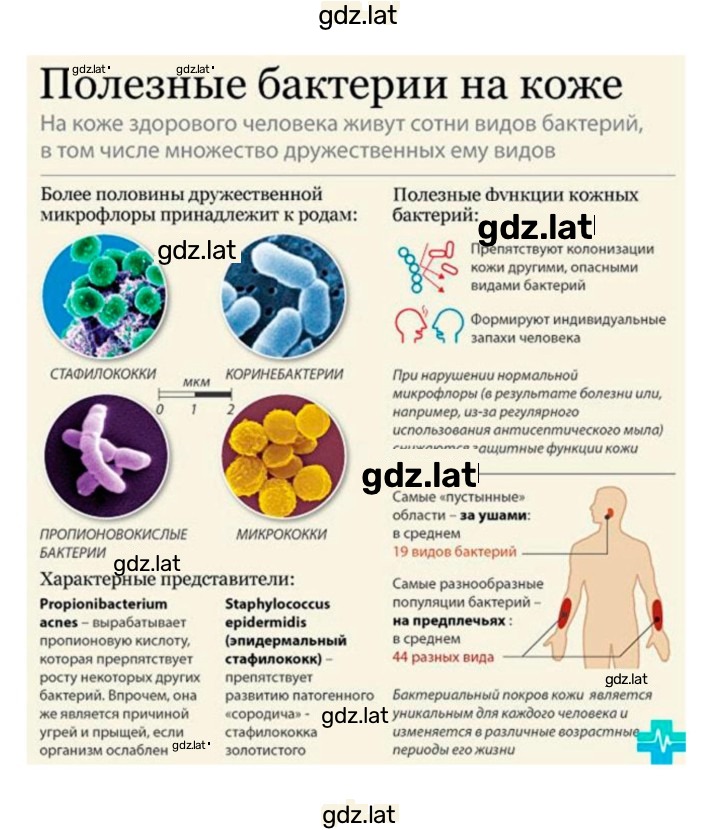 Решение задания № 50 — страница 10