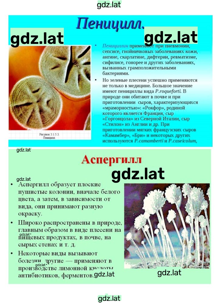 Решение задания № 51 — страница 4