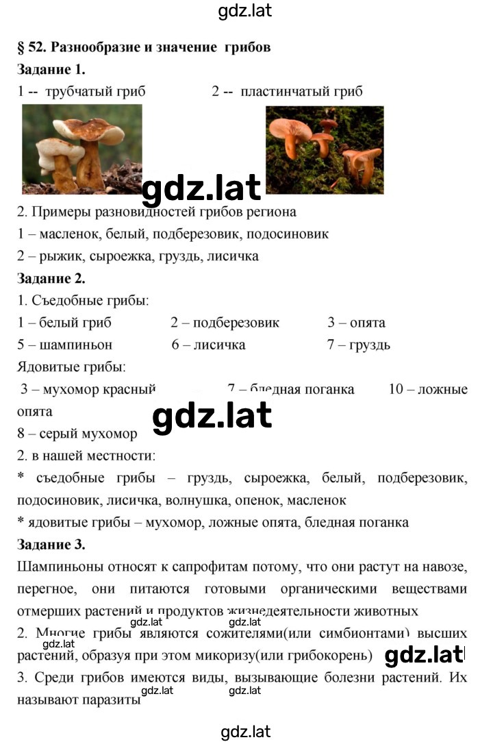 Решение задания № 52 — страница 1