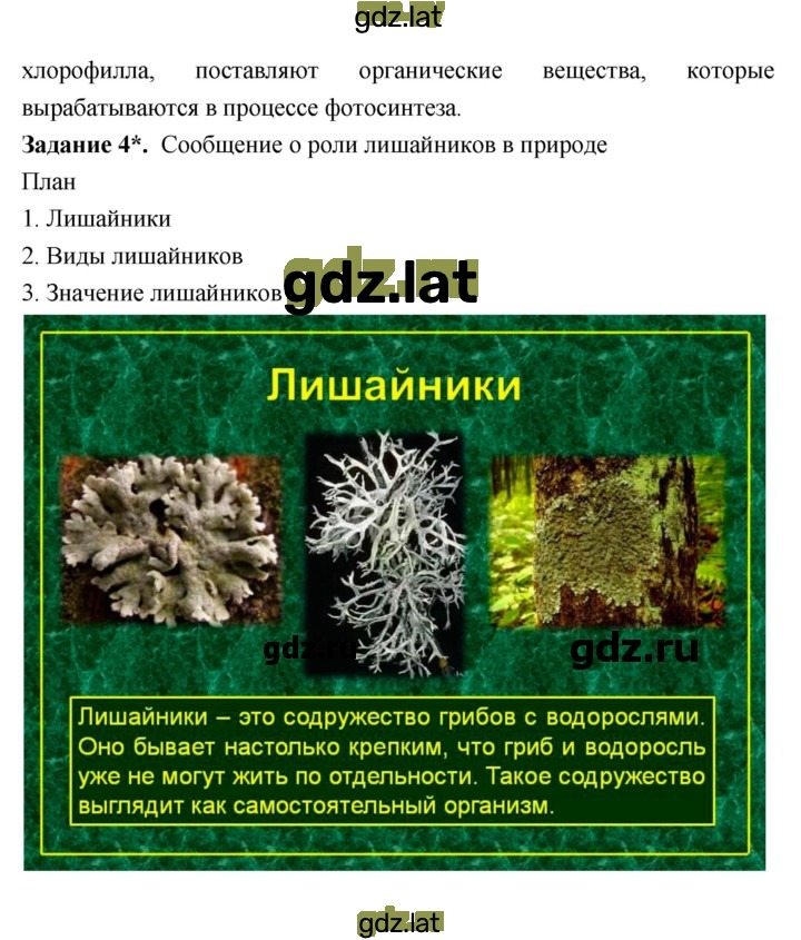 Решение задания № 53 — страница 2