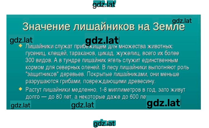 Решение задания № 53 — страница 5
