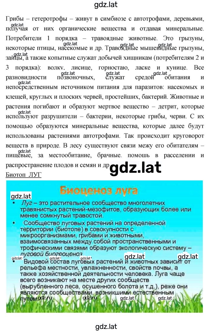 Решение задания № 54 — страница 2