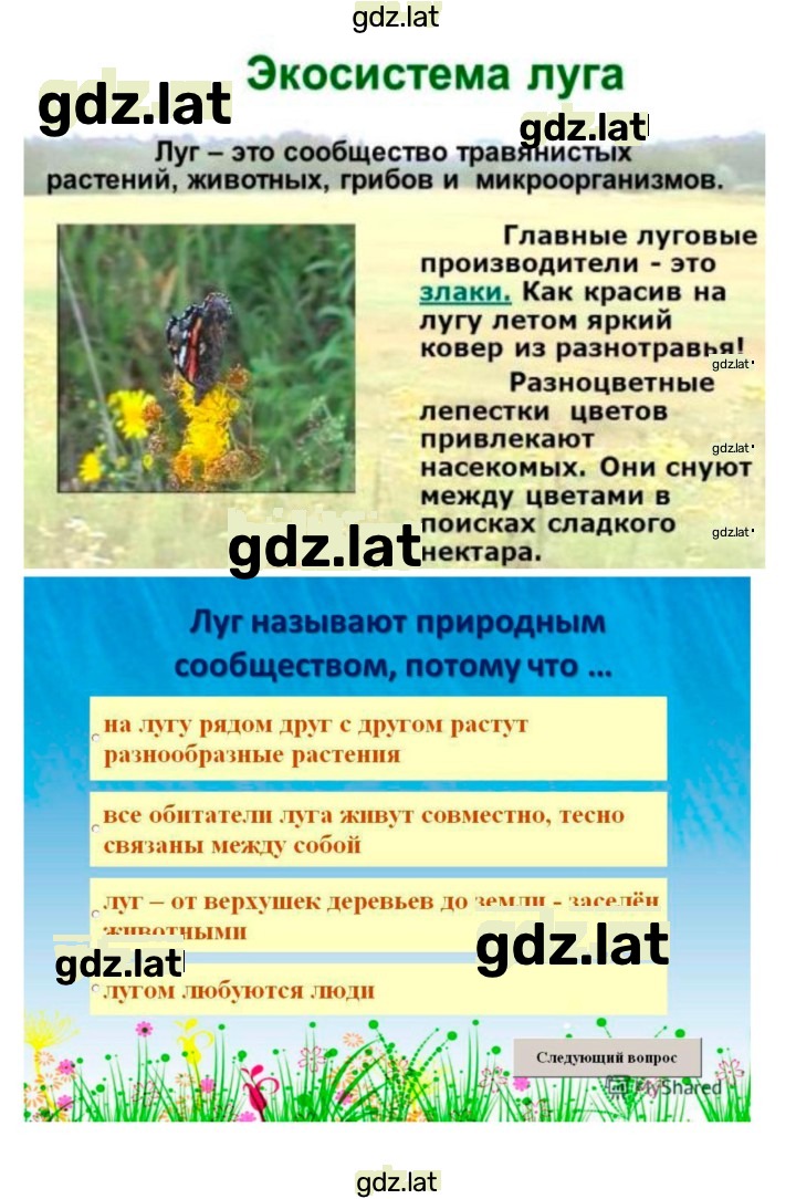 Решение задания № 54 — страница 3