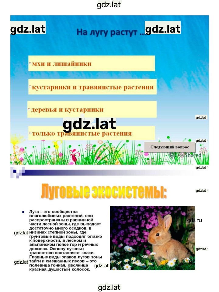Решение задания № 54 — страница 5