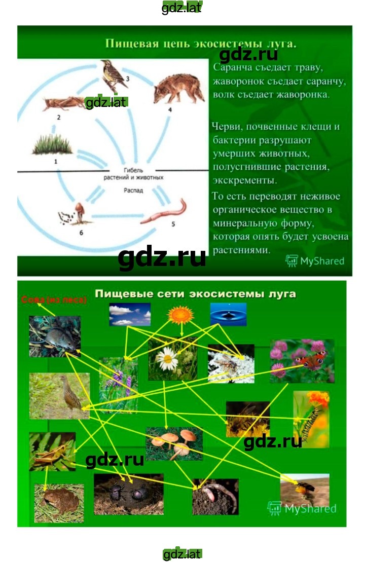Решение задания № 54 — страница 6
