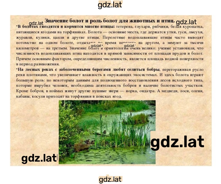 Решение задания № 54 — страница 12