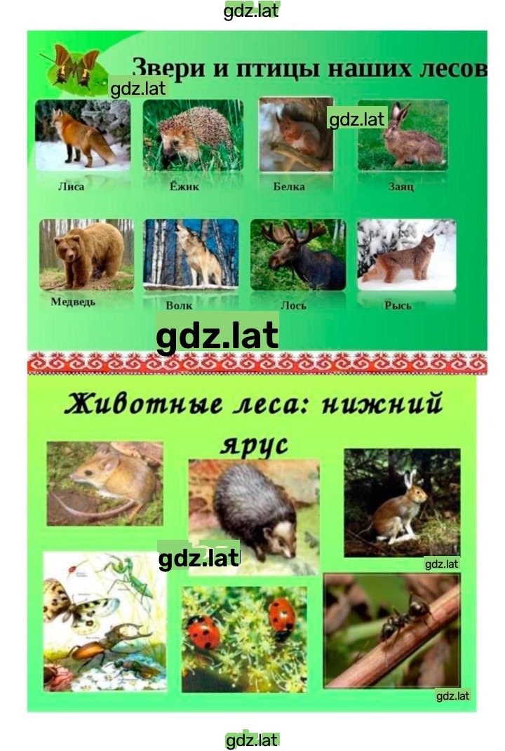 Решение задания № 55 — страница 7