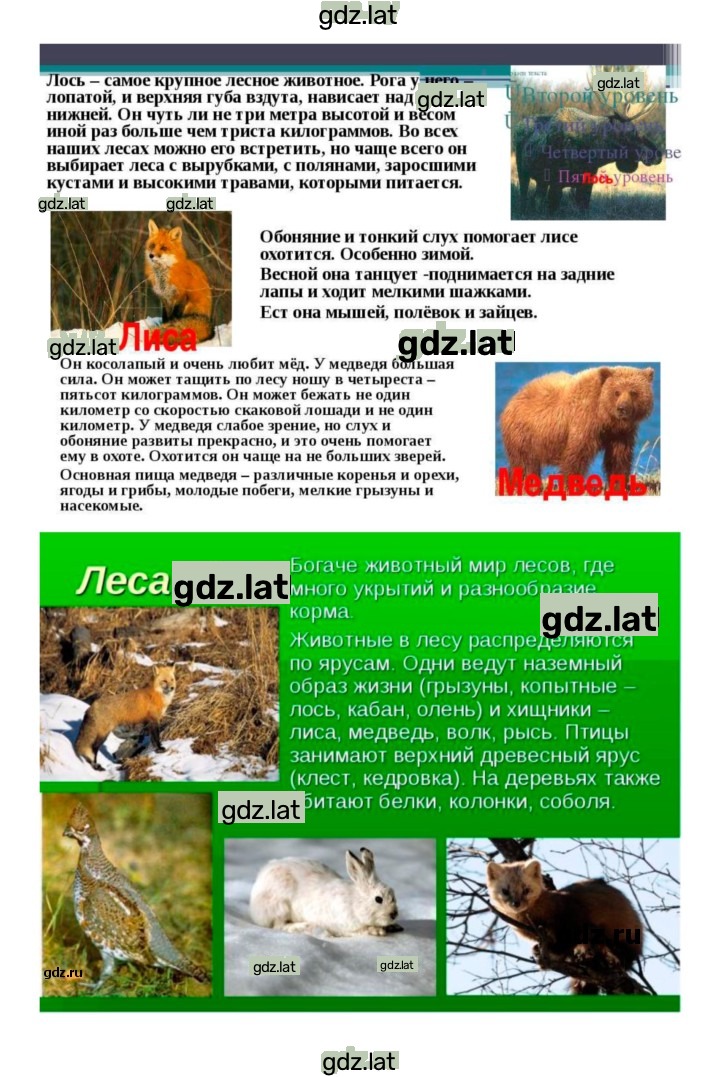 Решение задания № 55 — страница 8