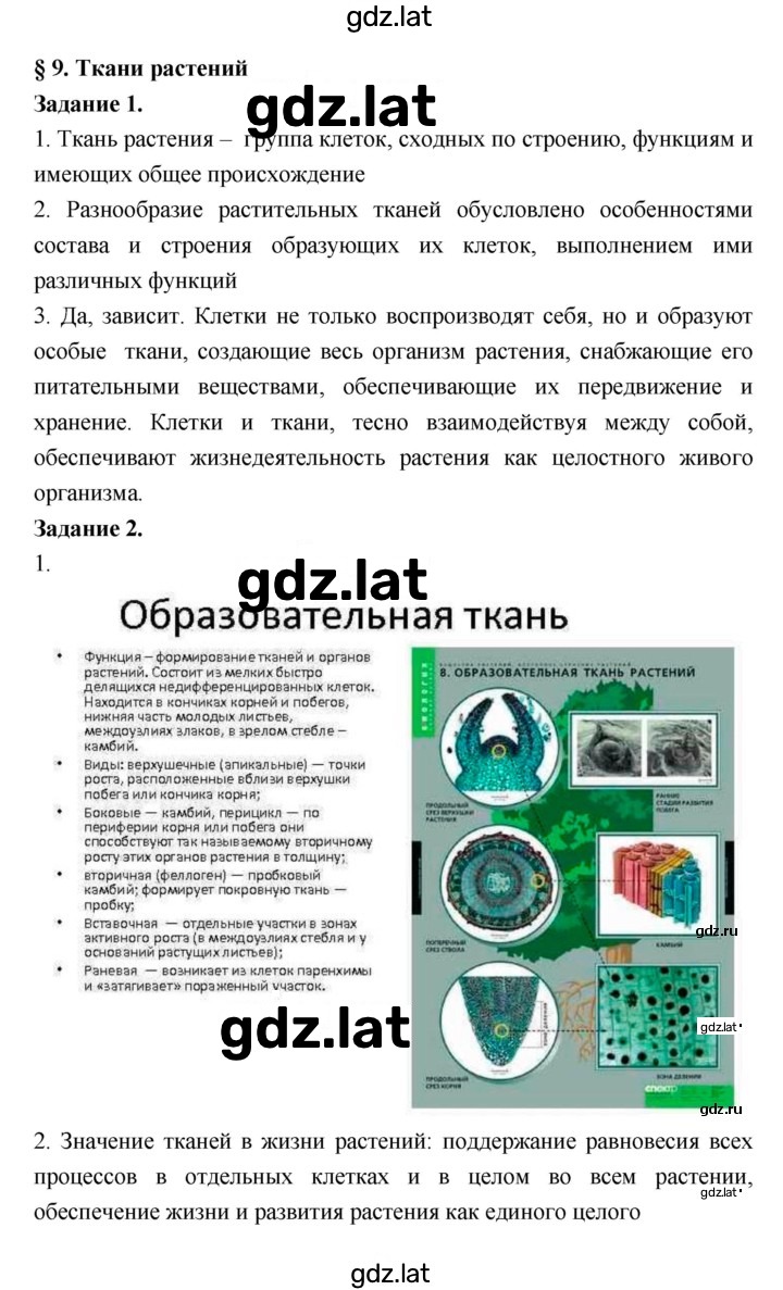 Решение задания № 9 — страница 1