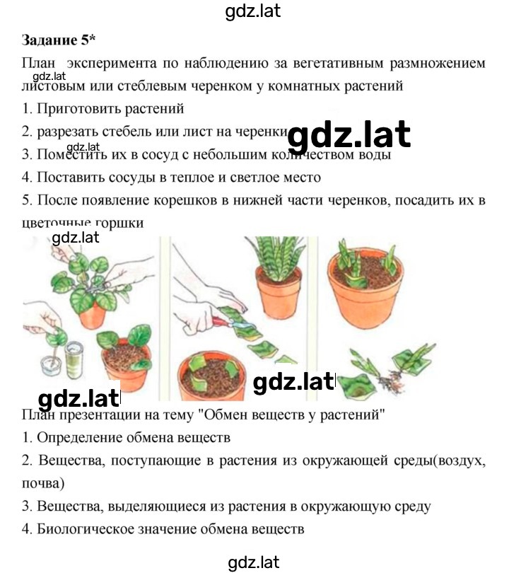 Решение задания № 4 — страница 3