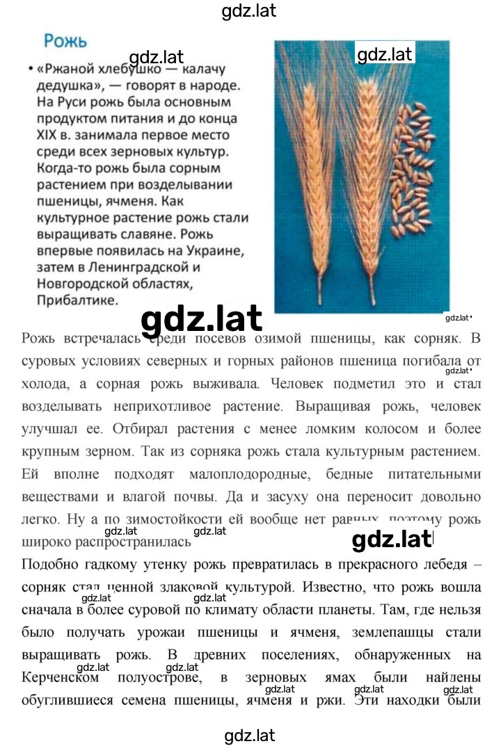 Решение задания № 6 — страница 2