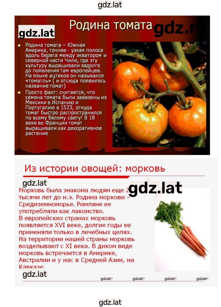 Решение задания № 6 — страница 8