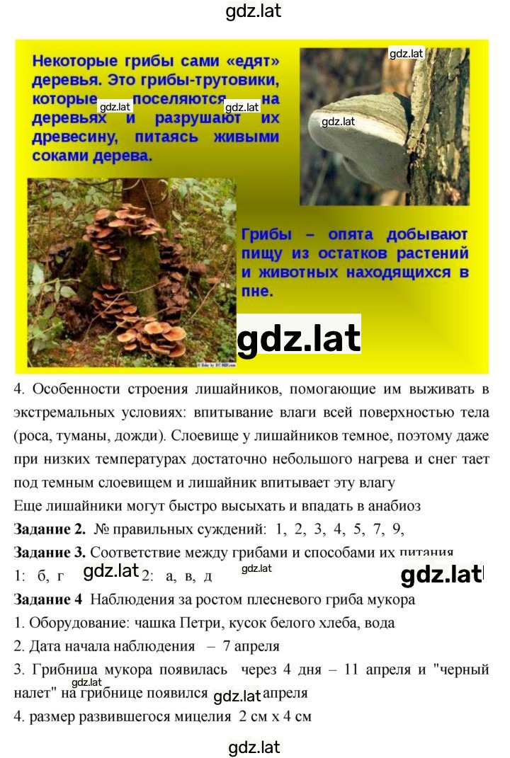 Решение задания № 7–8 — страница 2