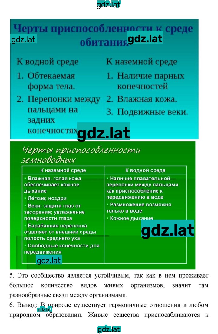 Решение задания № 9 — страница 4