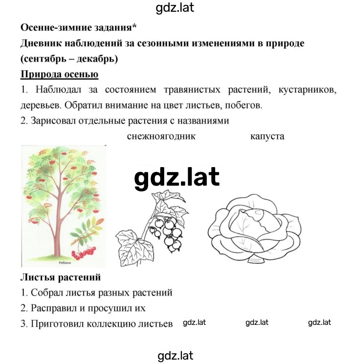 Решение задания № Осенне-зимние задания — страница 1