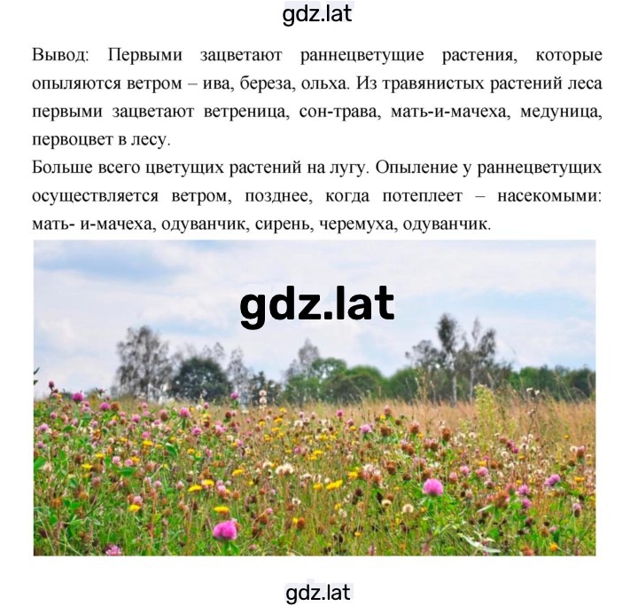 Решение задания № Весенне-летние задания — страница 3