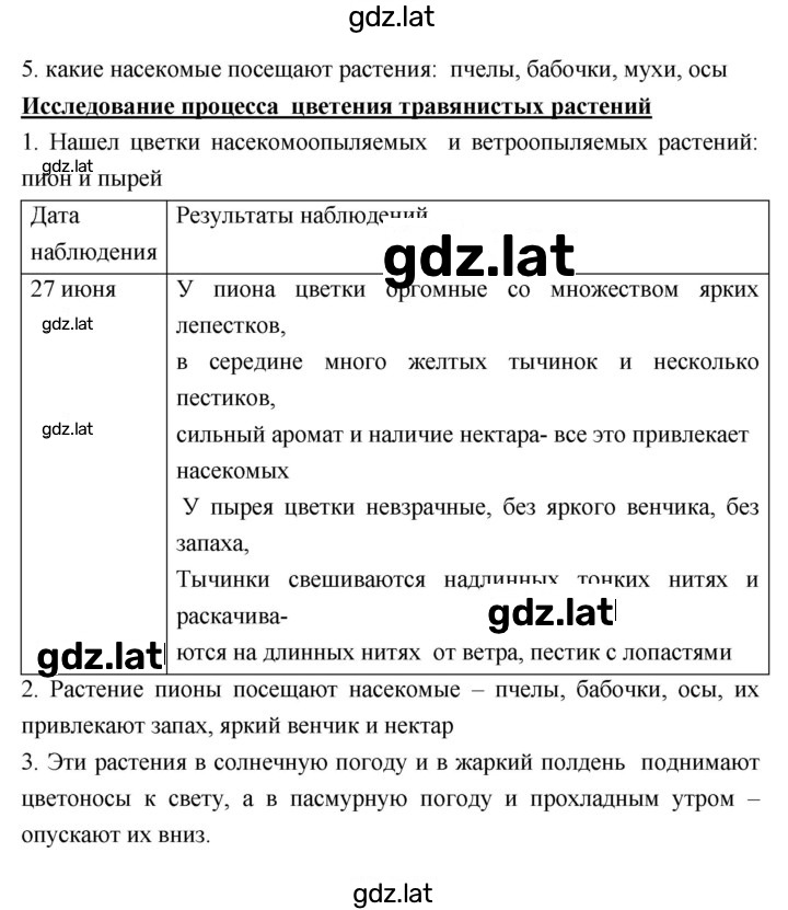 Решение задания № Летние задания — страница 7