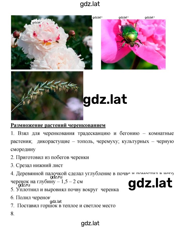 Решение задания № Летние задания — страница 8