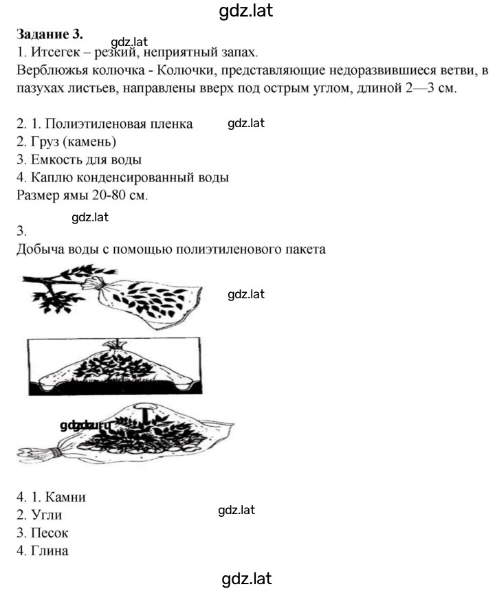 Решение задания № 37 — страница 2