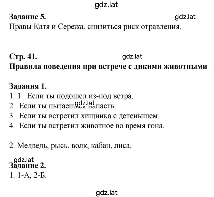 Решение задания № 41 — страница 1