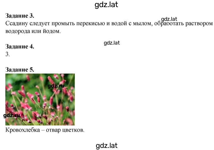 Решение задания № 50 — страница 1