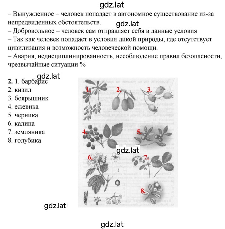 Решение задания № 47-48 — страница 2