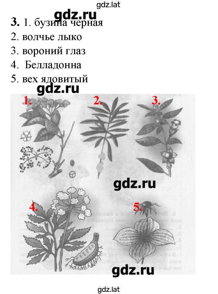 Решение задания № 49 — страница 1