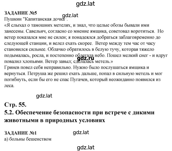 Решение задания № 55 — страница 1