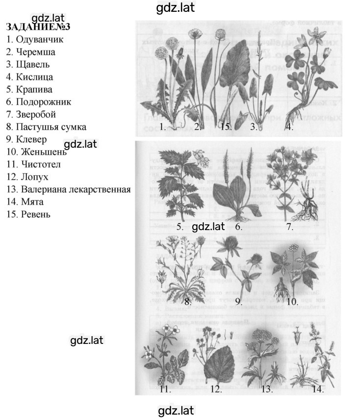 Решение задания № 68-69 — страница 1