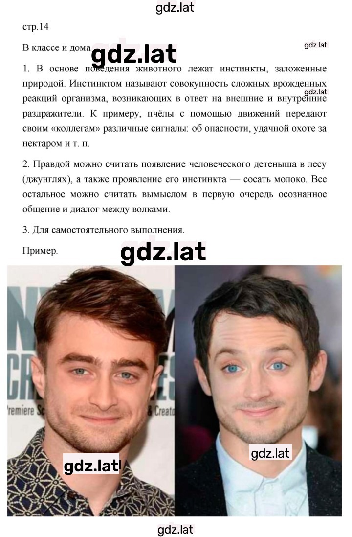 Решение задания № 1 — страница 5
