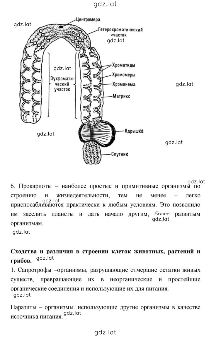 Решение задания № Тема 3 — страница 5