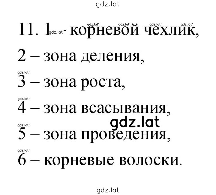 Решение задания № 11 — страница 1