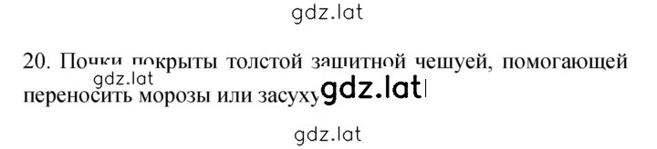 Решение задания № 20 — страница 1
