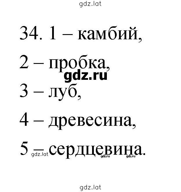 Решение задания № 34 — страница 1