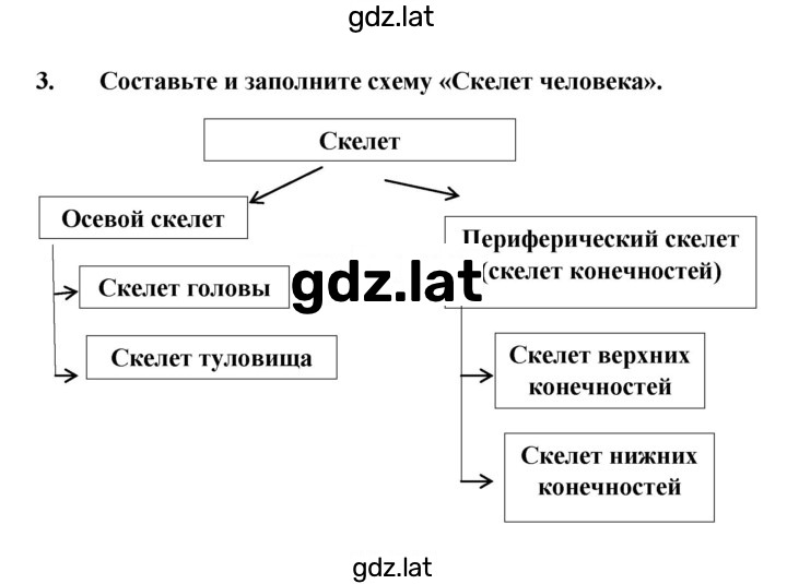 Решение задания № §12 — страница 4