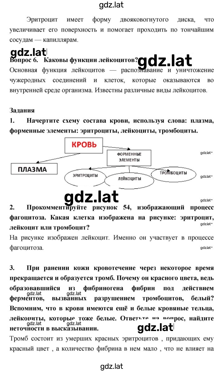 Решение задания № §17 — страница 3